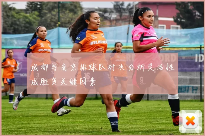 成都与南京排球队对决分析灵活性成胜负关键因素