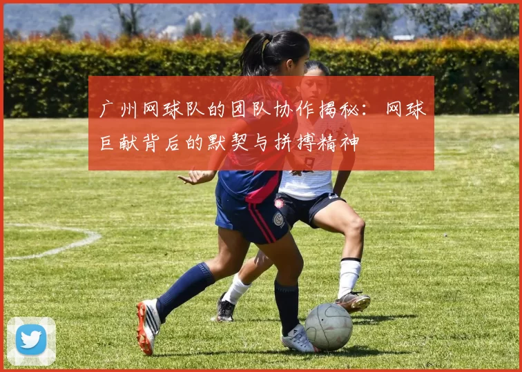 广州网球队的团队协作揭秘：网球巨献背后的默契与拼搏精神