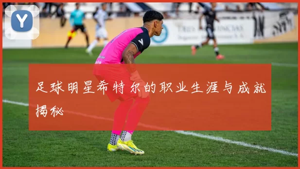 足球明星希特尔的职业生涯与成就揭秘