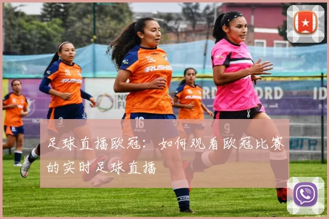 足球直播欧冠：如何观看欧冠比赛的实时足球直播