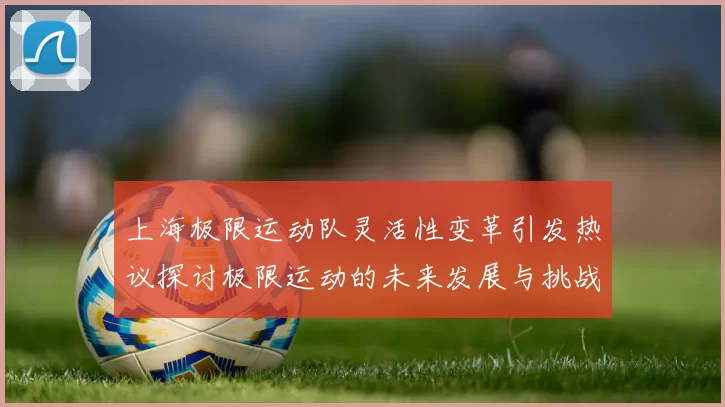 上海极限运动队灵活性变革引发热议探讨极限运动的未来发展与挑战