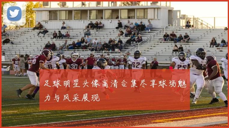 足球明星头像高清合集尽享球场魅力与风采展现