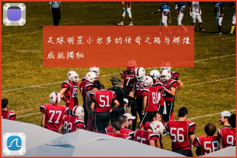足球明星小尔多的传奇之路与辉煌成就揭秘