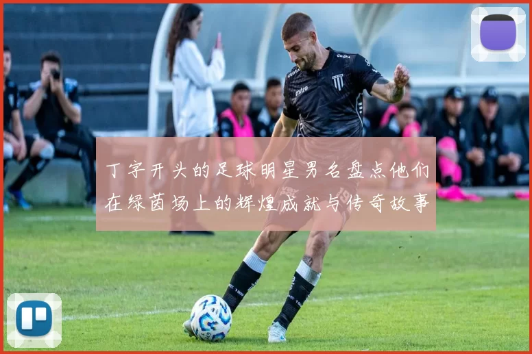 丁字开头的足球明星男名盘点他们在绿茵场上的辉煌成就与传奇故事