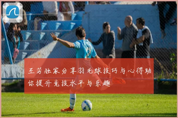 王芳独家分享羽毛球技巧与心得助你提升竞技水平与乐趣