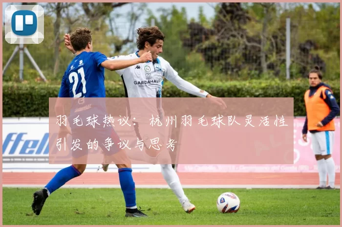 羽毛球热议：杭州羽毛球队灵活性引发的争议与思考