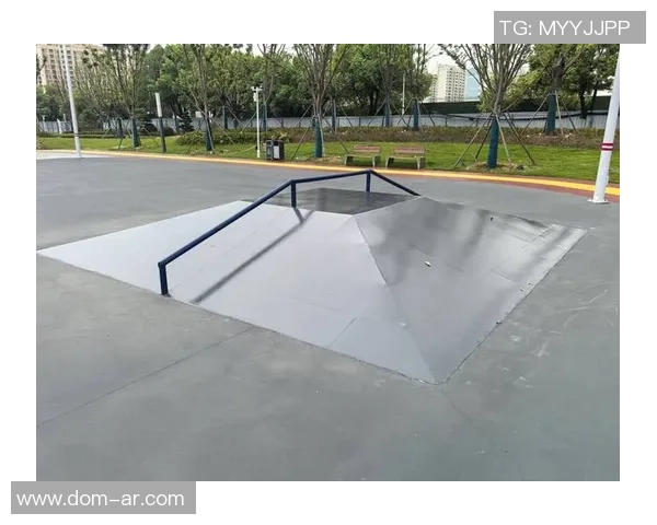 赵伟独家分享滑板心得与技巧探讨助你提升滑板水平的实用经验