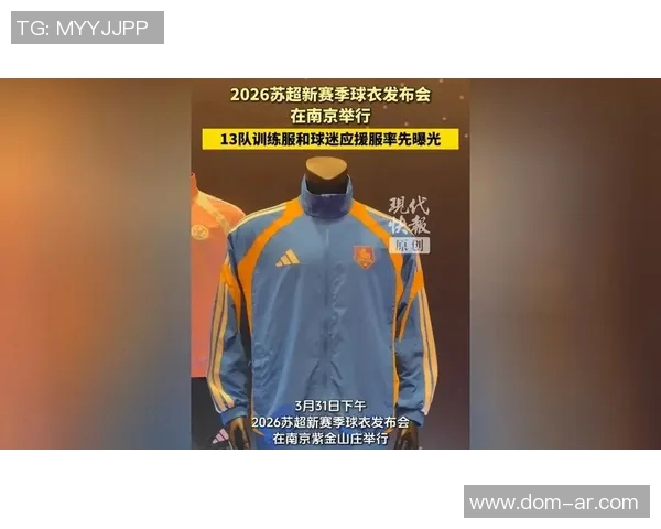 南京飞盘队实力引发热议球迷对其表现褒贬不一